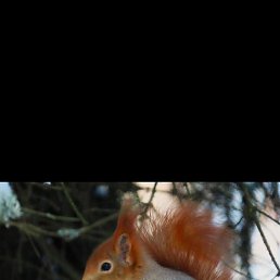 ����, �������, 47 ���