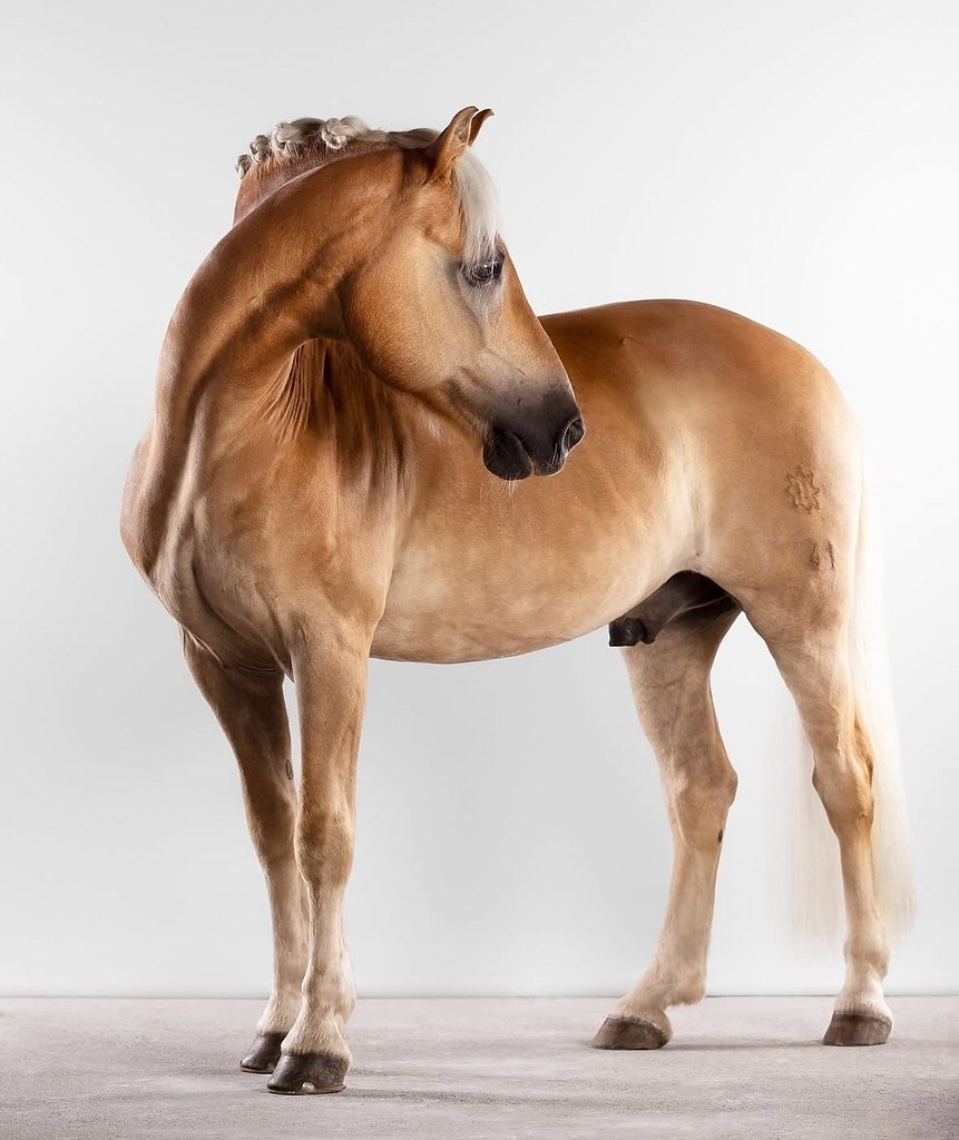  -   ! - 4  2025  19:21