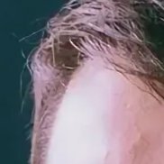 ������, 35 ���, ����������