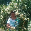 ���� �������, �������, 59 ��� - ��������� 3 �������� 2024 � ������ ���� ����������