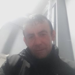 ���������, �����������, 46 ���