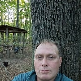 , 45 , 