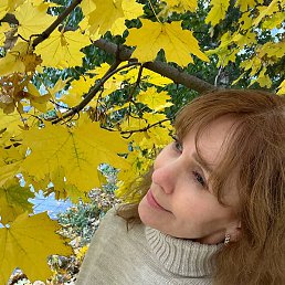 ������, ����