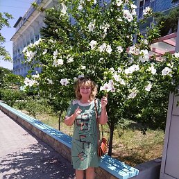 �����, �����-���������, 54 ����