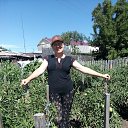 ���� ����, ������-��-���, 68 ��� - ��������� 7 ������ 2026 � ������ ���� ����������