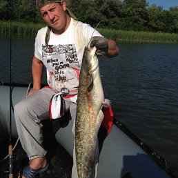 ���� ������, ���������, 47 ��� - ��������� 4 ����� 2026