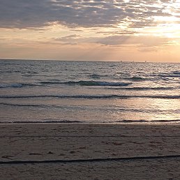 ������-��-���� ��������� �����