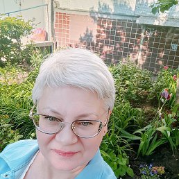 ���� �������, ���� - ��������� 11 ������ 2026