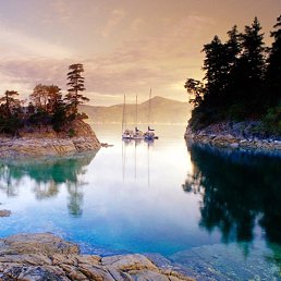 ������, ������������, 46 ���