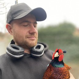 ������, ������������, 25 ���