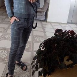 ������, ������, 40 ���