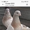 ���� ����, �����������, 49 ��� - ��������� 7 ���� 2025