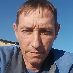 ����, ������, 41 ���