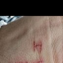 ���� ����������, �������, 22 ���� - ��������� 18 ������� 2023