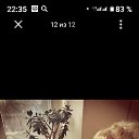 ���� ������, ���, 51 ��� - ��������� 19 ������ 2026 � ������ ���� ����������