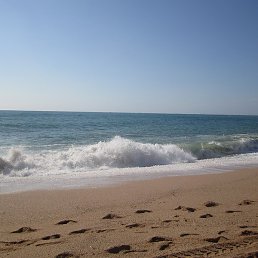 �����, �����, 63 ����