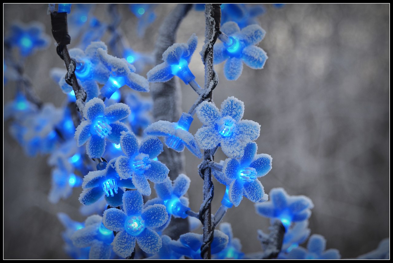     -   https://fotostrana.ru/away?to=/sl/M91