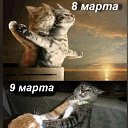 ���� �����, ���������, 61 ��� - ��������� 16 ����� 2026 � ������ ���� ����������