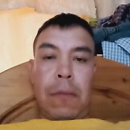 �����, 41 ���, ������