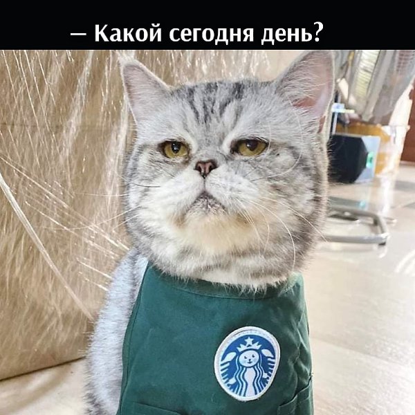 ��� � ����������