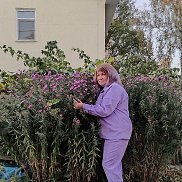 ����, 38 ���, ������