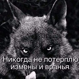���� �������, ������, 42 ���� - ��������� 20 ������� 2023