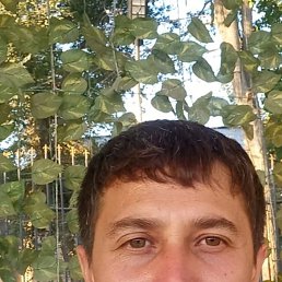  , 51, 