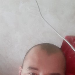 �������, ������, 41 ���