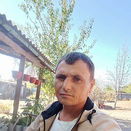 ������, ����, 38 ���