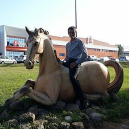 ����, �����������, 48 ���