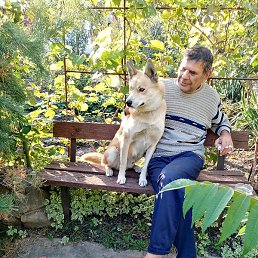 ���������, �������, 65 ���