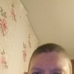 ���� ������, �����, 41 ��� - ��������� 13 ������ 2026