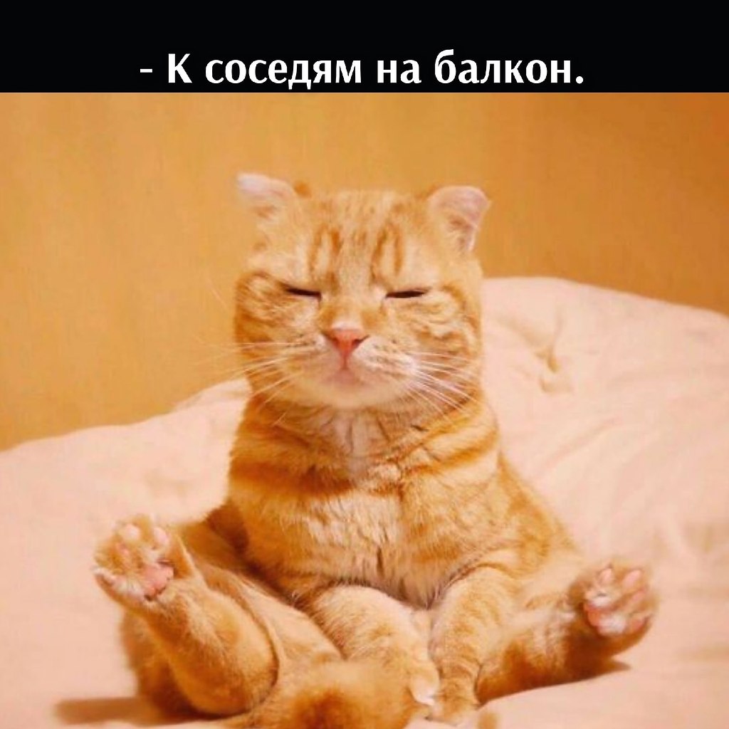       - 25  2025  12:46 - 2