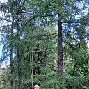 ���� ����, ���������, 60 ��� - ��������� 16 ������� 2025 � ������ ���� ����������