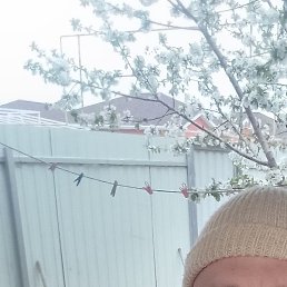 ����, ����� �������, 43 ����