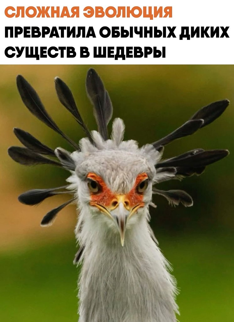 ������� ������� ���������� �������� � ��������� ���������� ���������. ������������� �������� ����� ...