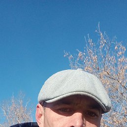 �������, �������, 43 ����