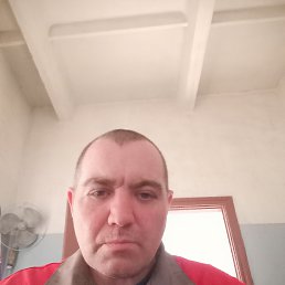 ��������, 41 ���, ��������