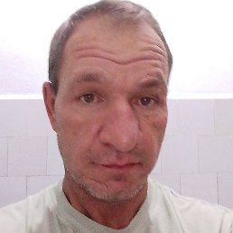 , , 44 