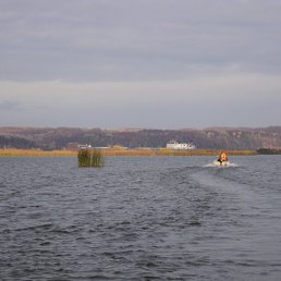 �������, ������, 50 ���