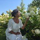 ���� ������, �����-��������� - ��������� 3 ������� 2025 � ������ ���� ����������