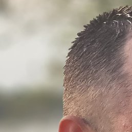 �����, �������, 36 ���