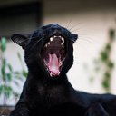 ���� �����, ������, 44 ���� - ��������� 17 ������ 2026 � ������ ���� ����������