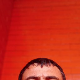 , 40, 