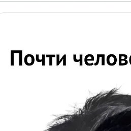 �������, �������, 42 ����