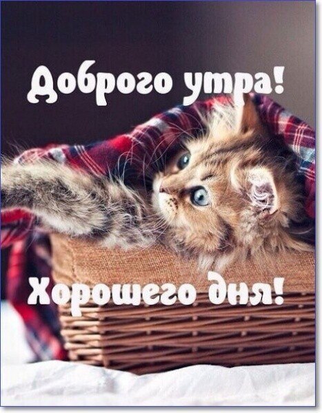 ***Victoria Viktorovna*** - 10  2025  05:57