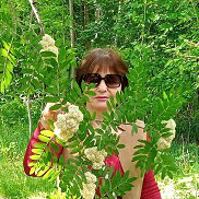 ����, , ������