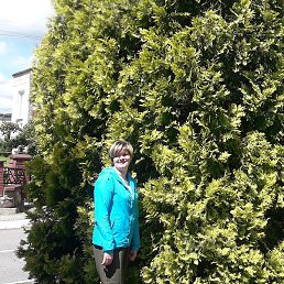 Фото Елена, Гродно Елена, Гродно