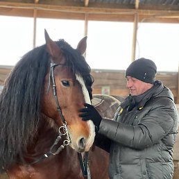 �����, �����������, 46 ���