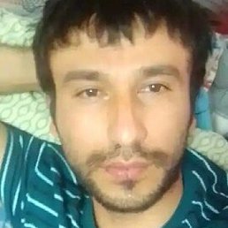 ����, �����-���������, 40 ���